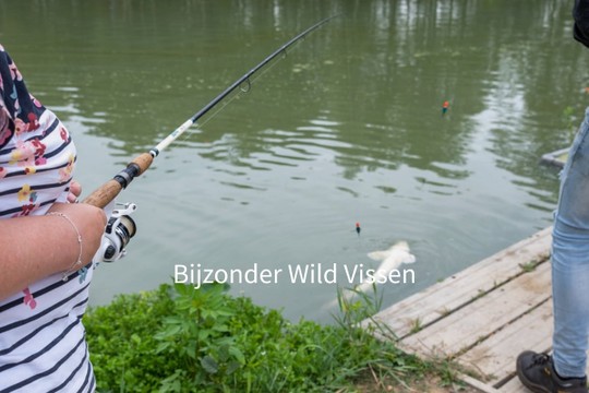 Bijzonder Wild Vissen - MyAlbum