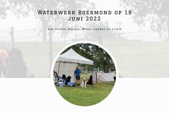 Waterwerk Roermond op 19 juni 2022 - MyAlbum
