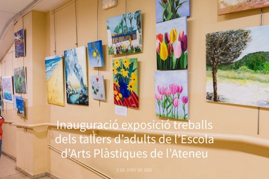 Inauguració exposició treballs dels tallers d’adults de l’Escola d’Arts Plàstiques de l’Ateneu - MyAlbum