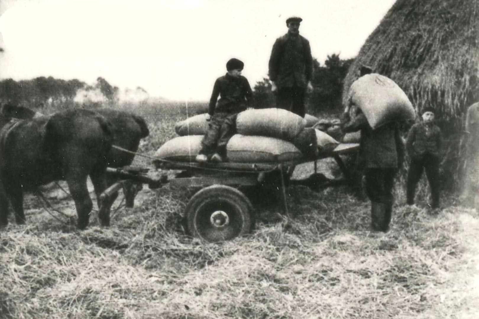 landbouw-oogst-1938-balenpers