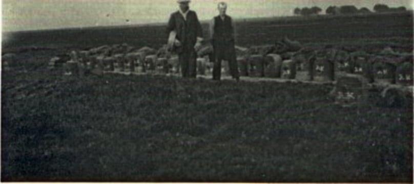 Jan Geert Braams met imker in Papenvoort. ± 1935.