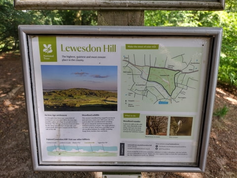 Lewesdon Hill