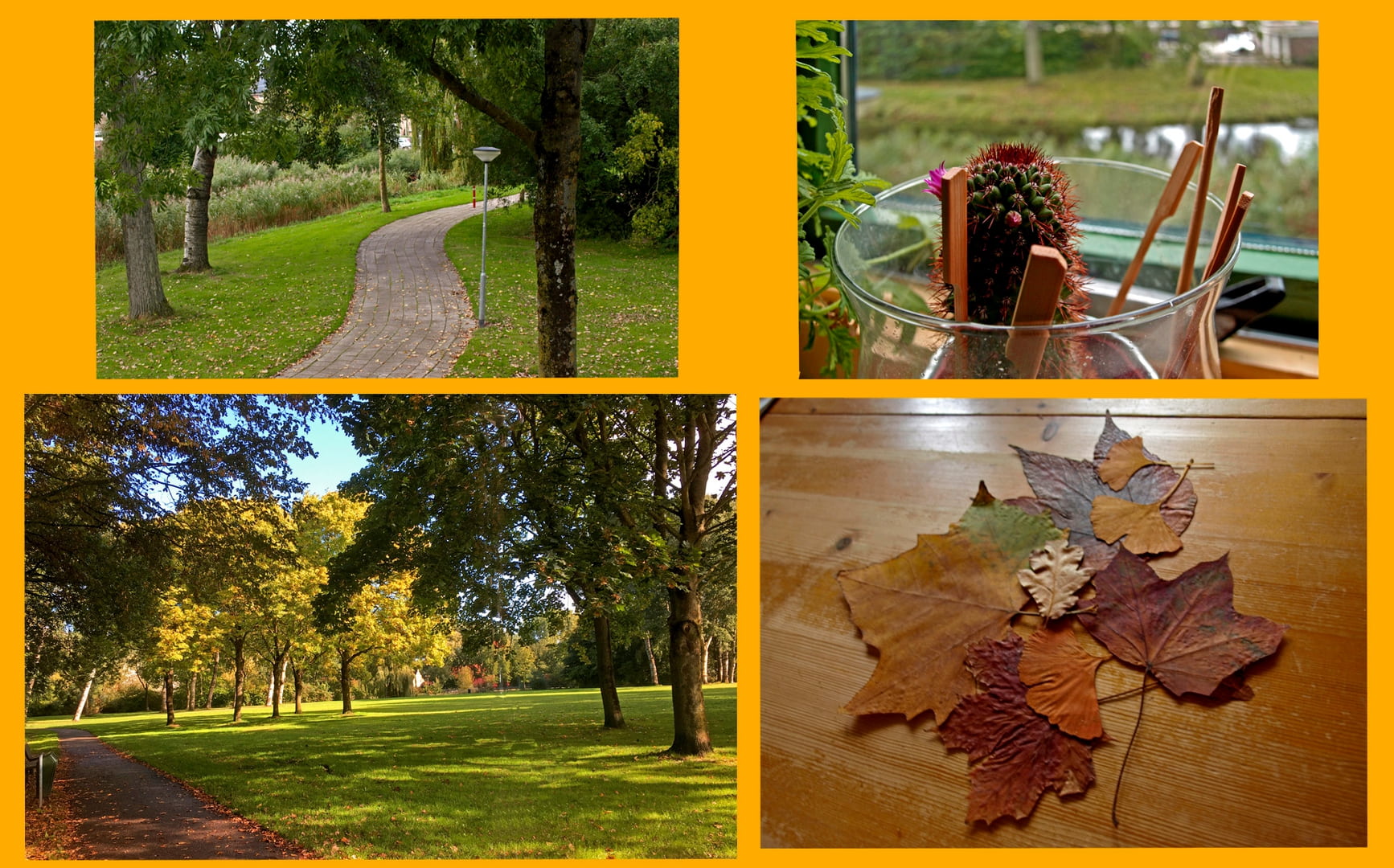 herfstcollage
