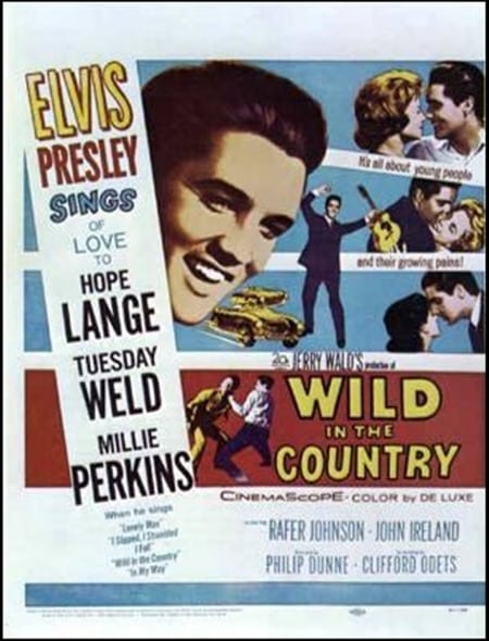 Filmposter: Wild in the Country