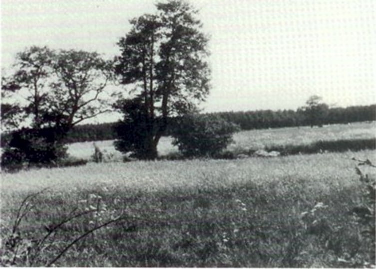 Het Grolloërdiepje met op de achtergrond het staatsbos.