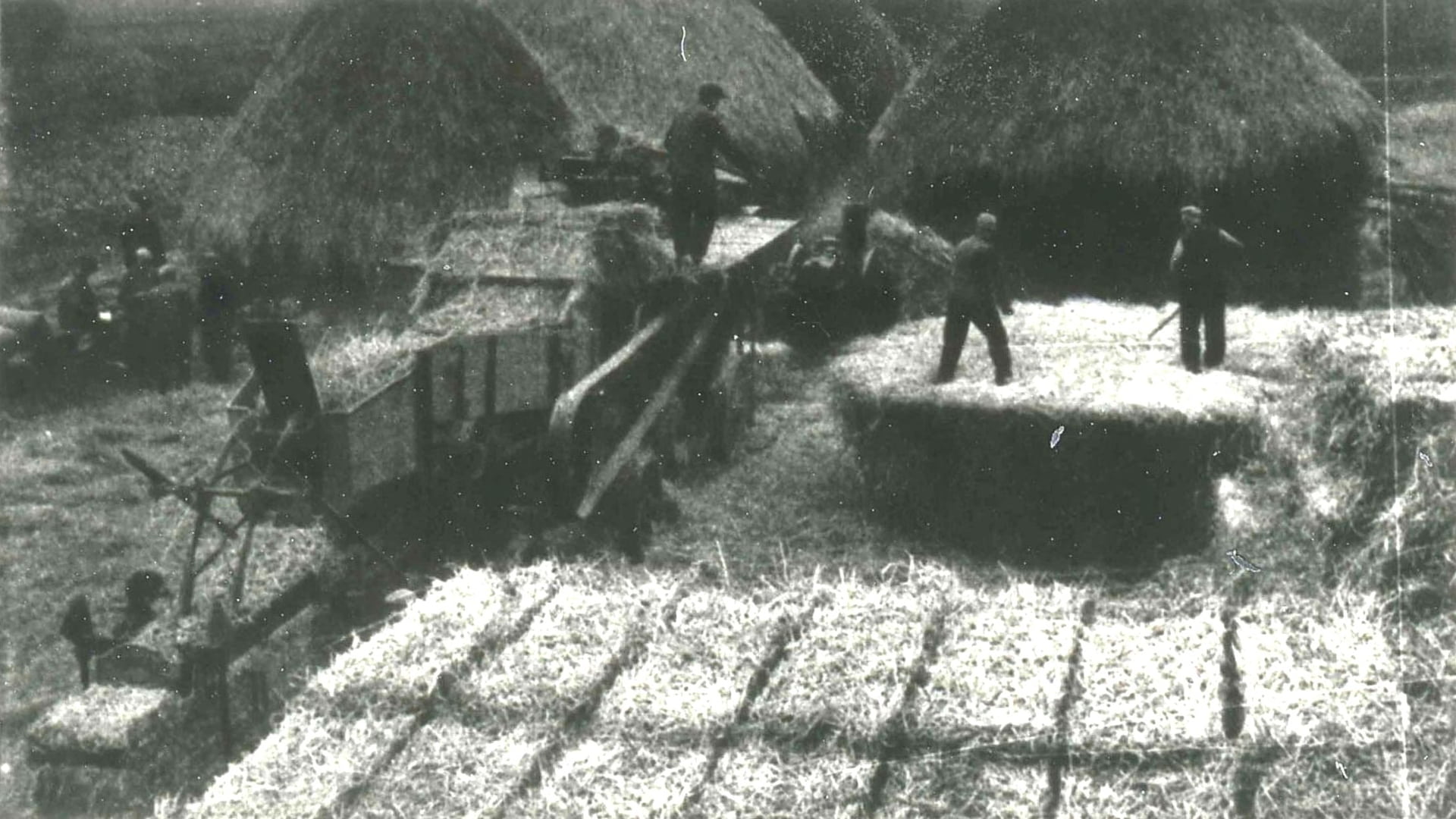 landbouw-oogst-1938-balenstapelen