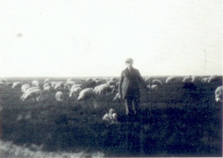 Jantinus Enting op het grote heideveld in 1932. Hier een indruk hoe groot en wijds de heide was.
